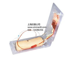 高級肘部靜脈穿刺訓(xùn)練模型——醫(yī)療護(hù)理實(shí)訓(xùn)的關(guān)鍵工具